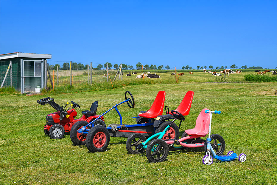 Foto aus der Fotogruppe 