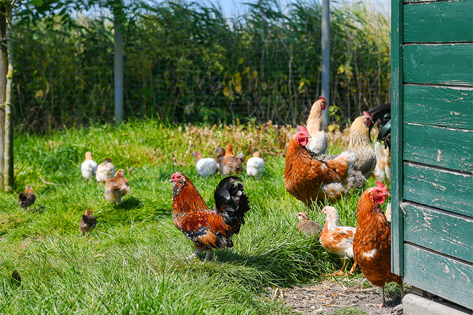 Foto aus der Fotogruppe 
