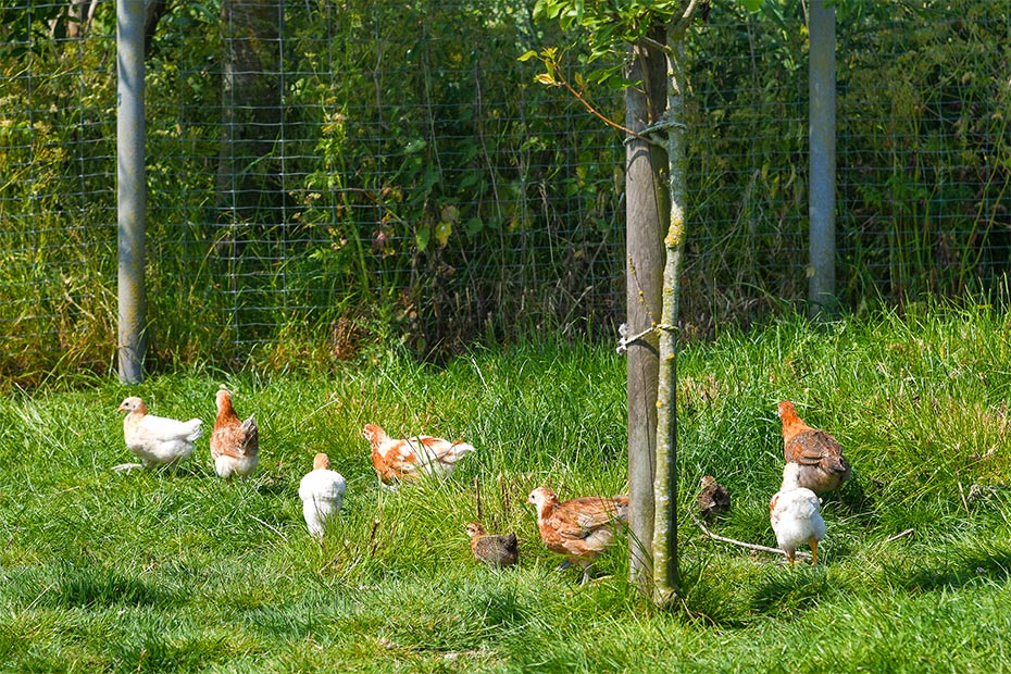 Foto aus der Fotogruppe 