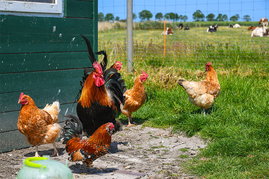 Foto aus der Fotogruppe 