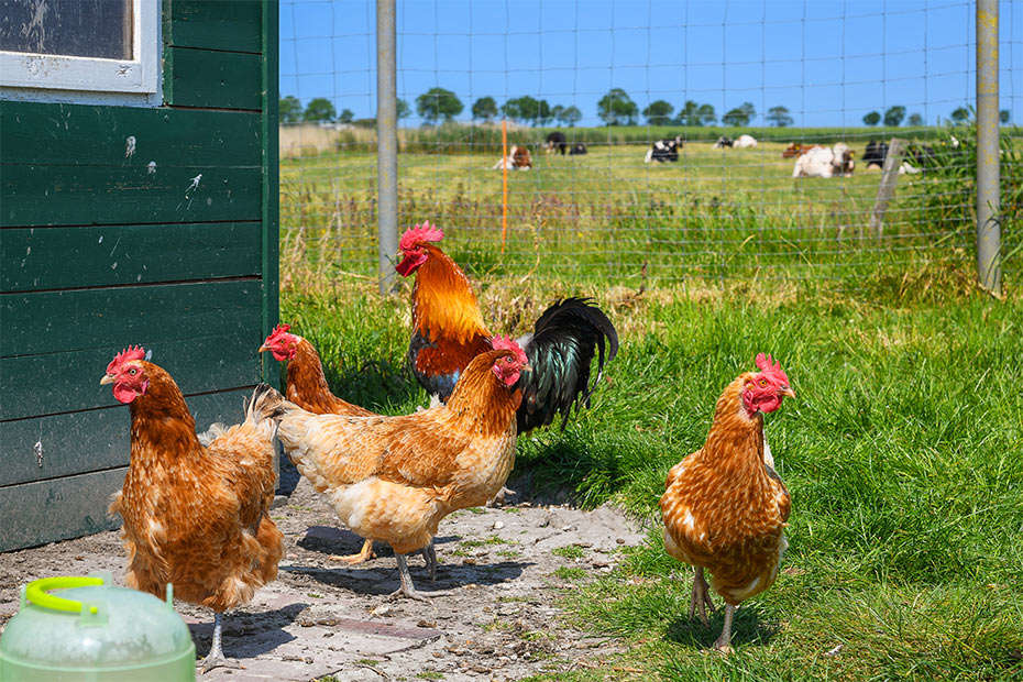Foto aus der Fotogruppe 