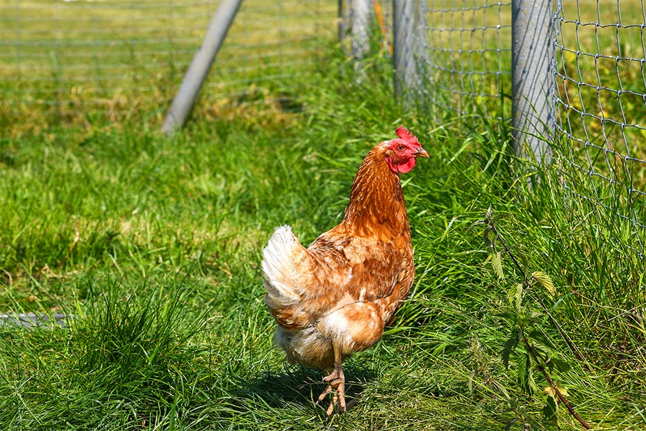 Foto aus der Fotogruppe 