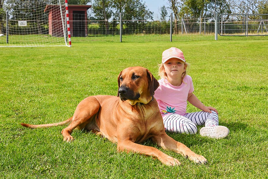 Foto aus der Fotogruppe 