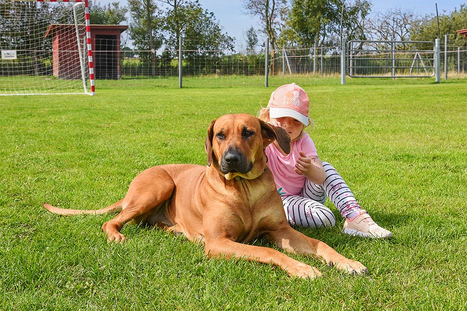 Foto aus der Fotogruppe 