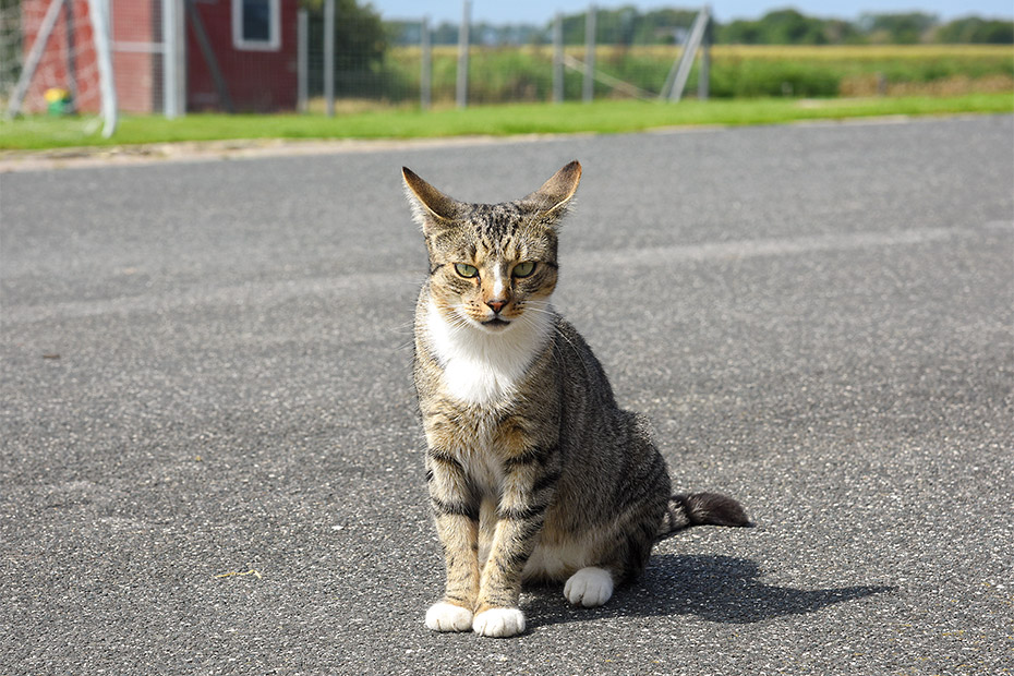 Foto aus der Fotogruppe 