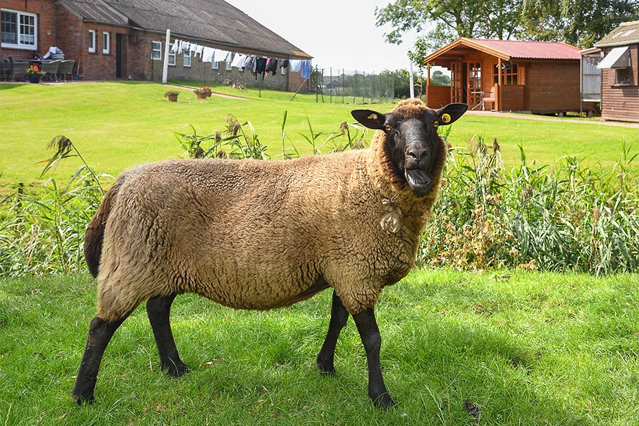 Foto aus der Fotogruppe 