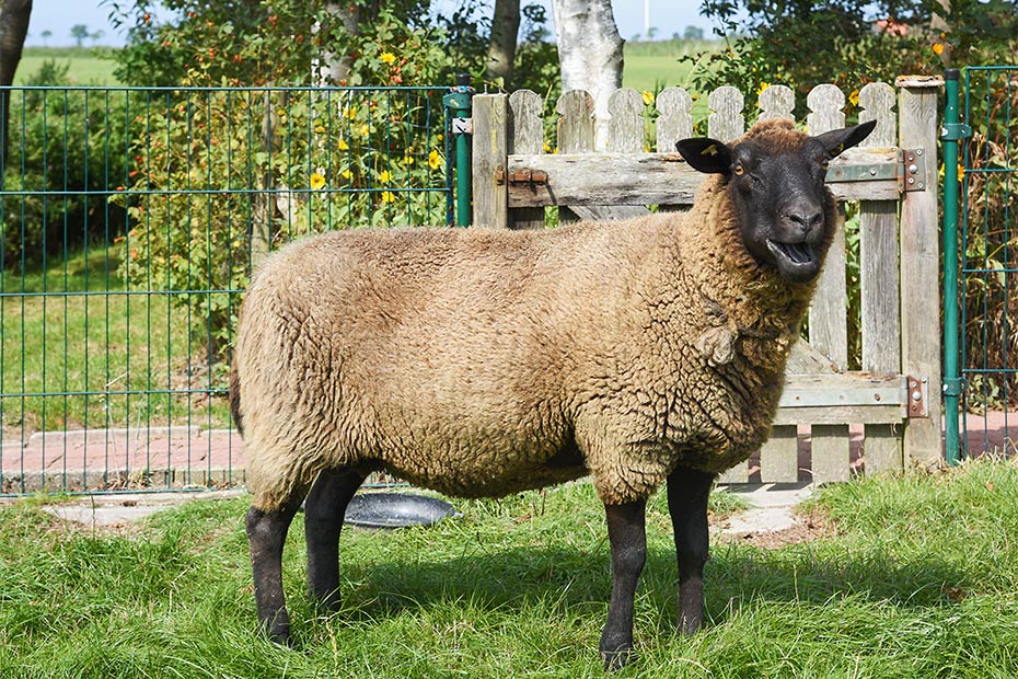 Foto aus der Fotogruppe 